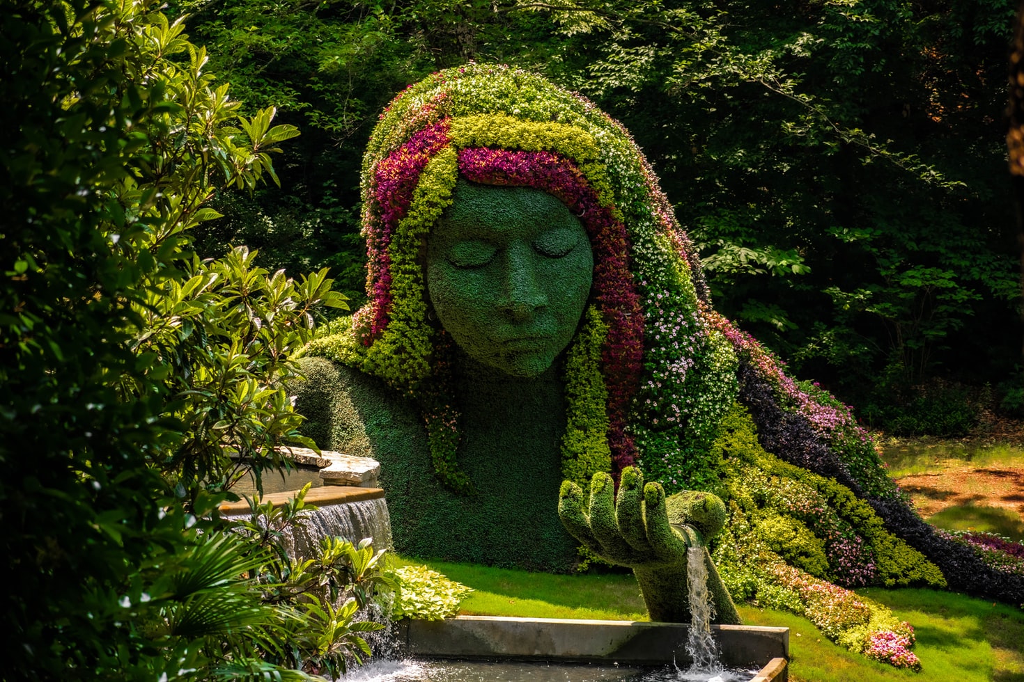 Photo header of Atlanta Botanical Garden
