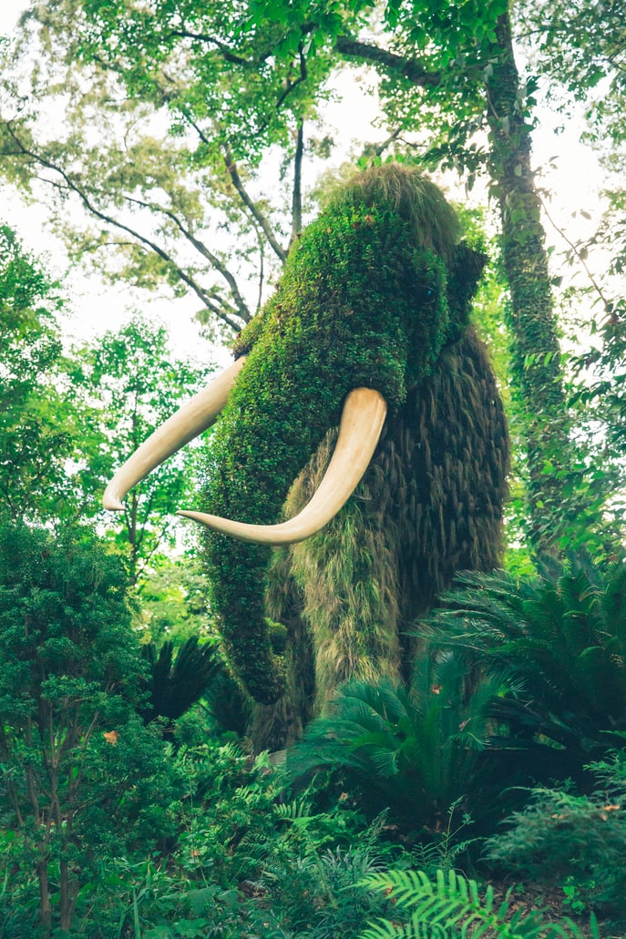 Photo of an Elephant from an exhibition of Atlanta Botanical Garden